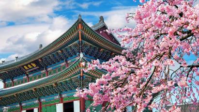 Danh sách sinh viên trúng tuyển chương trình giao lưu sinh viên và trải nghiệm văn hóa Hàn Quốc