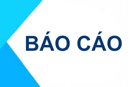 BÁO CÁO TỰ ĐÁNH GIÁ CSGD giai đoạn 2019-2024